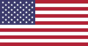 american flag-Berwyn